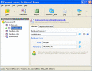 Access Password Recovery Pro screenshot